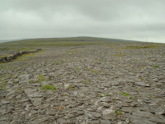 Burren limestone
