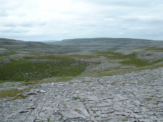 Lunch bowl in the Burren