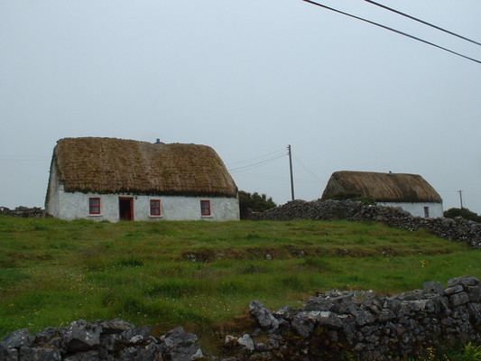 Thatch roofed homes.