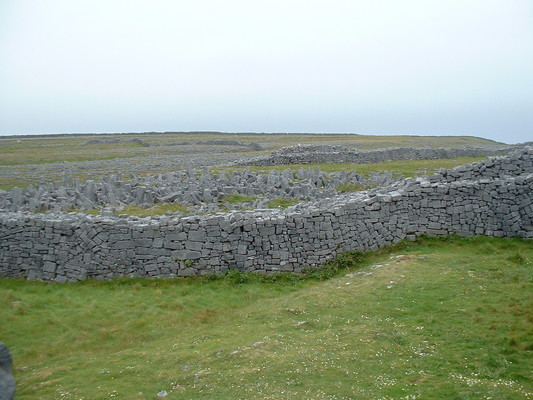 Dun Aohngusa cheveux de frise