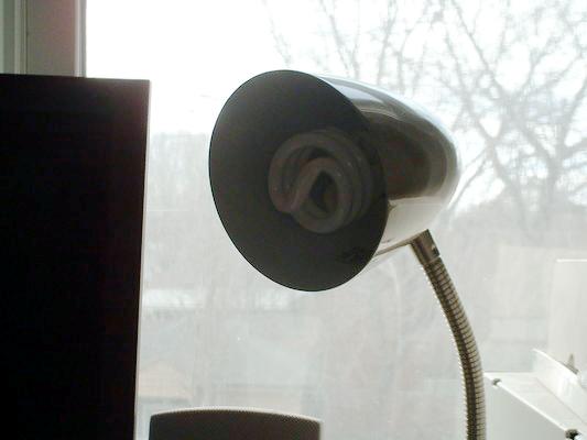compact flourescent desklamp