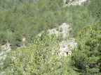 8x6dscf0106